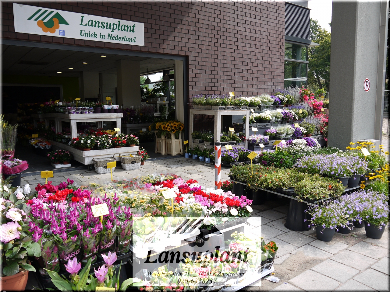 Lansuplant Waterlandplein